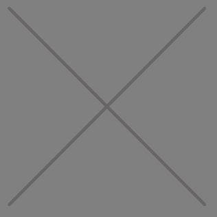 HERE INSERT ALTERNATIVE TEXT FOR THE IMAGE