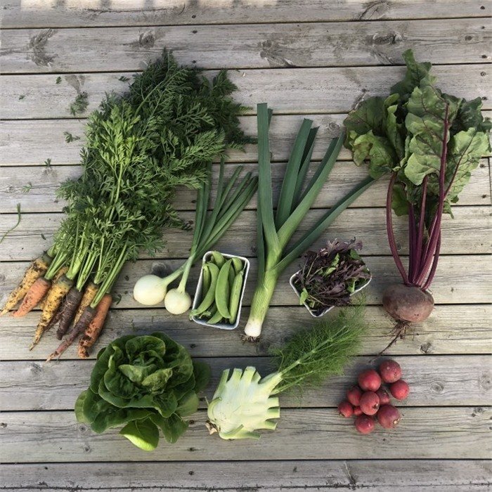 Ulike grønnsaker fra abonnementet lagt ut på trebord, blant annet gulrøtter, purre, beter, salat, fennikel og sukkererter