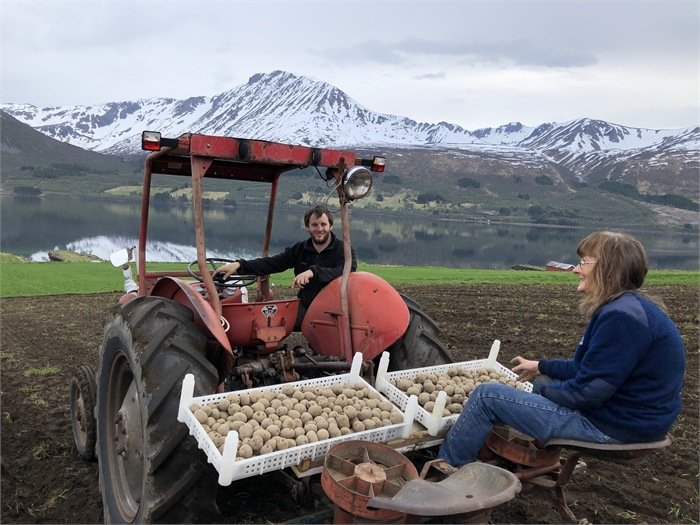 Potetsetting ved fjorden Traktor med settepoteter på jordet ved fjorden med mennesker i bakgrunnen