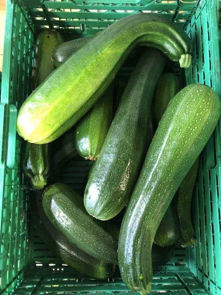 Squash Vakuumpakket lammebog fra Hundstad gård