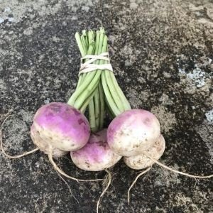 Tre neper bundet sammen med grønne stilker