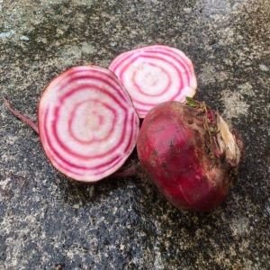 Oppskårne polkabeter med rosa og hvite ringer